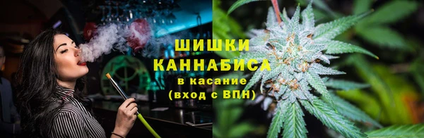 ПСИЛОЦИБИНОВЫЕ ГРИБЫ Лиски
