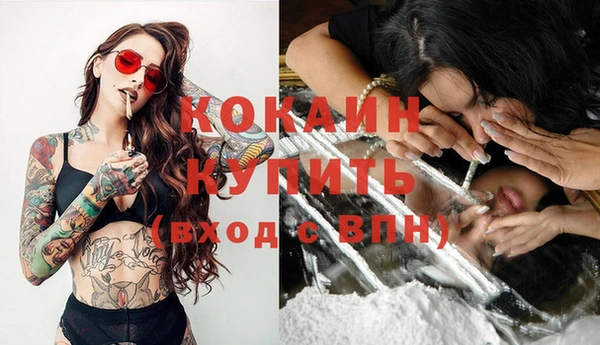 тгк Лагань