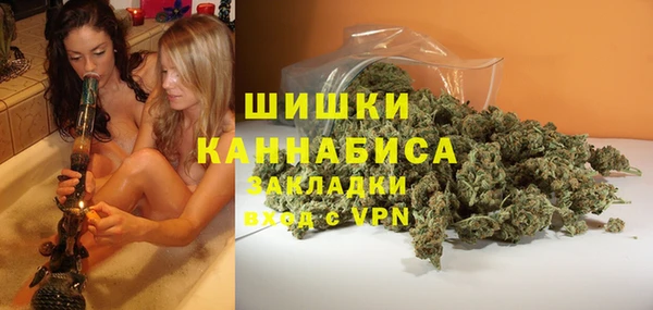 ПСИЛОЦИБИНОВЫЕ ГРИБЫ Лиски